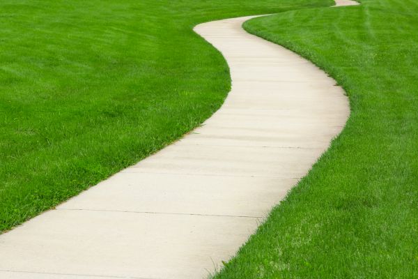Cost of Walkway Building in Minneapolis