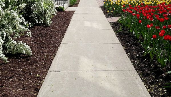 Cost of Sidewalk Slab Replacement in Minneapolis
